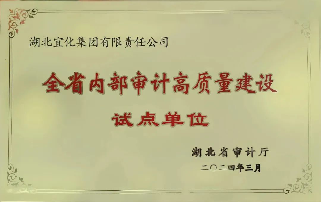 宜化集團獲評全省內(nèi)部審計高質(zhì)量建設(shè)試點單位(圖2)